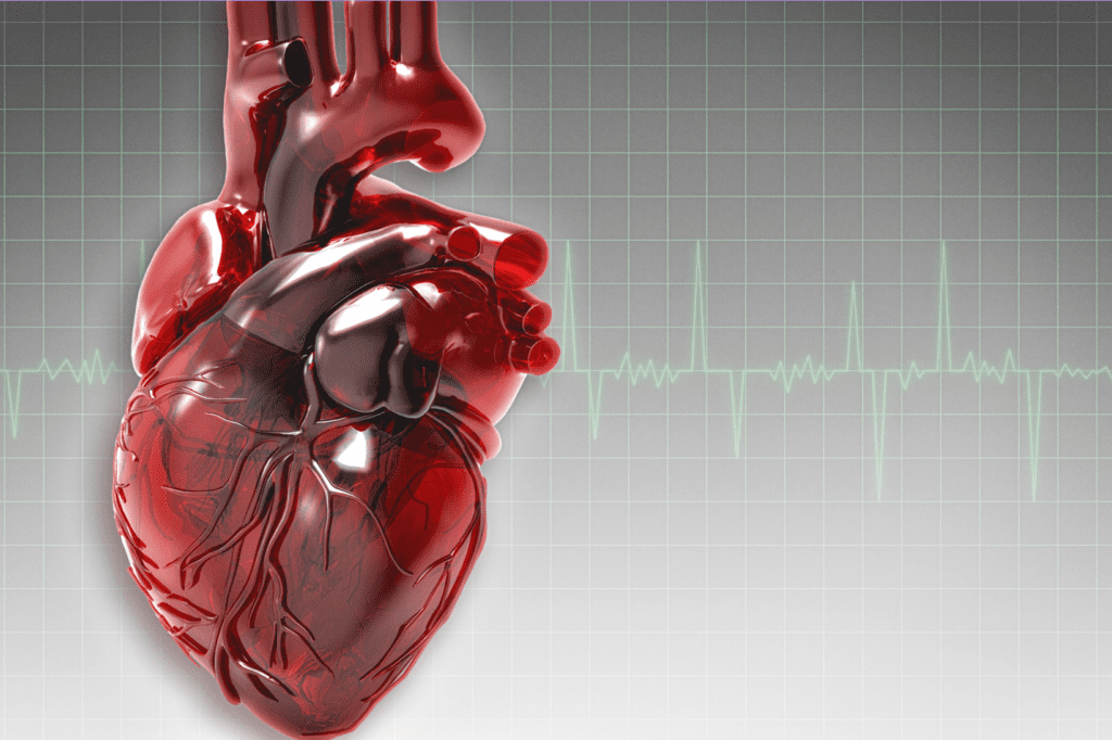 Zdrowie Serca w Twoich Rękach Praktyczne Porady Dla Każdego